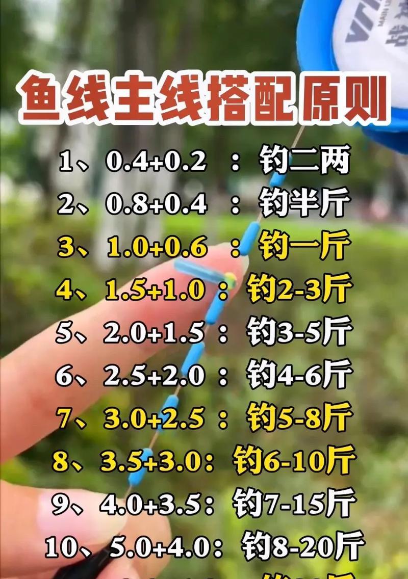 《以小森生活》钓鱼技巧分享（钓鱼新手也能轻松成为高手）