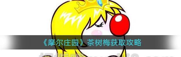 摩尔庄园庆典（攻略星花，轻松庆典；玩转摩尔庄园，抢夺属于你的节日礼品！）