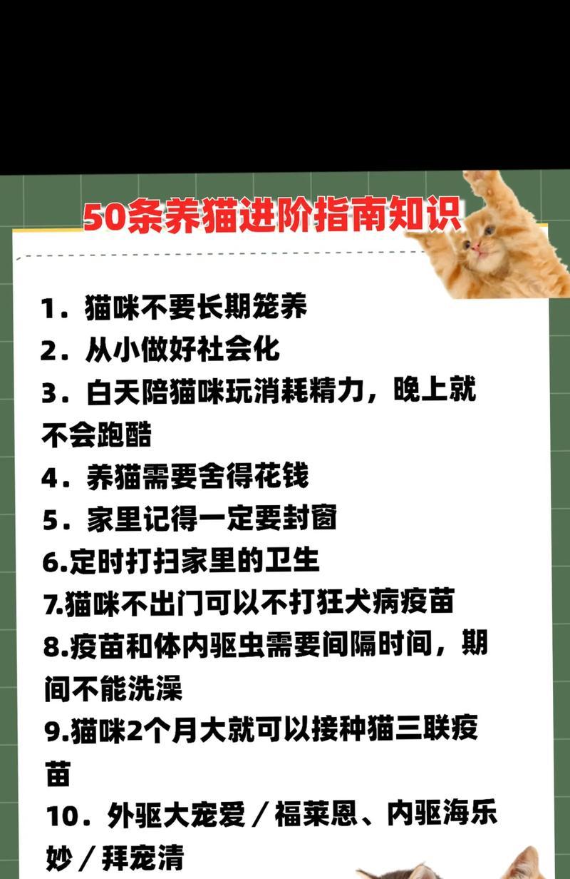 《亲吻猫咪手游攻略大揭秘》（猫咪亲吻的技巧、关卡攻略、高分秘籍应有尽有！）