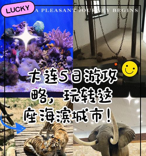 火车模拟手游大连攻略（火车模拟手游大连攻略及必备技巧，让你畅游世界之窗）