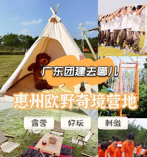 野炊装备攻略手游（玩转野炊手游，享受美食与冒险的双重乐趣）