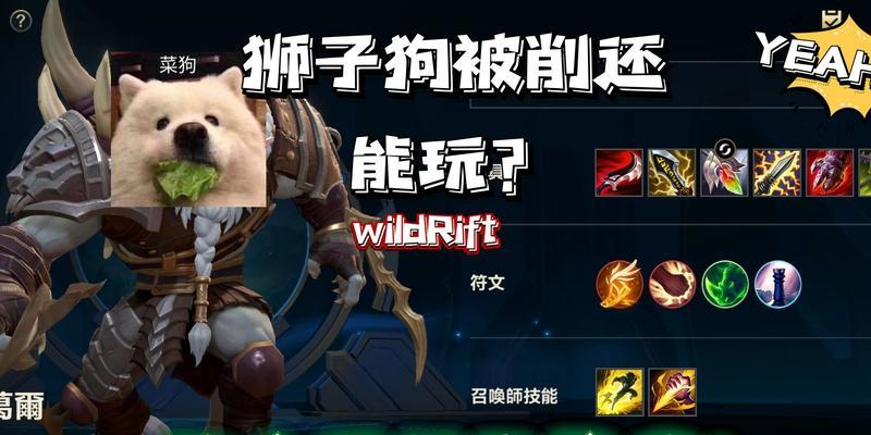 英雄联盟手游小狗攻略（为你呈现强势ADC——小狗的技巧与策略）