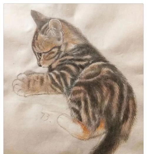 国粹猫咪出装攻略大全（打造最强国粹猫咪，装备技巧一网打尽）