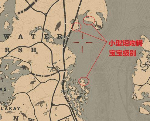 驭马攻略（马匹装备选择与搭配、战术运用和技能提升，打造最强战车）